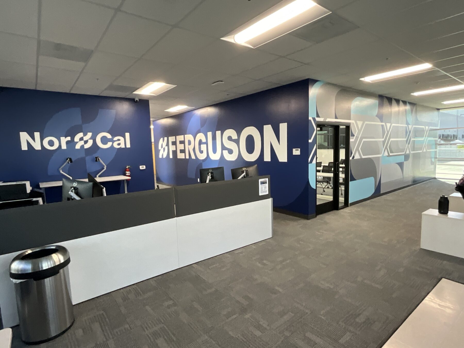 Nor Cal Sacramento Ferguson Home