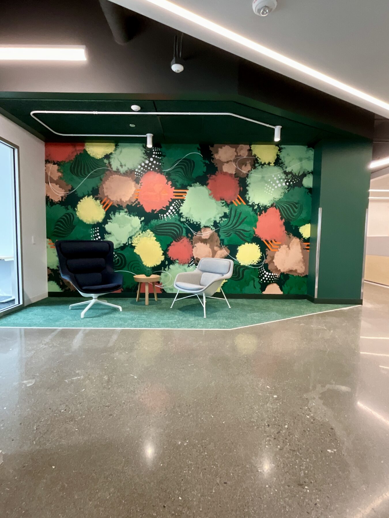 Colorful organic abstract commissioned mural for a corporate workplac